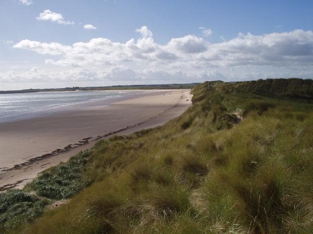 Photo of Beadnell beach