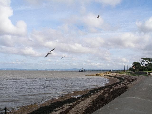 Photo of Clevedon Beach beach