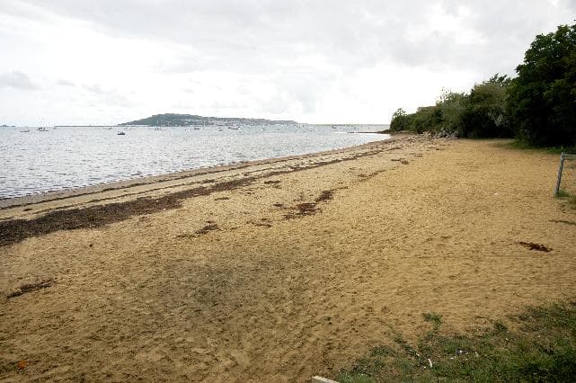 Photo of Portland Harbour Castle Cove beach