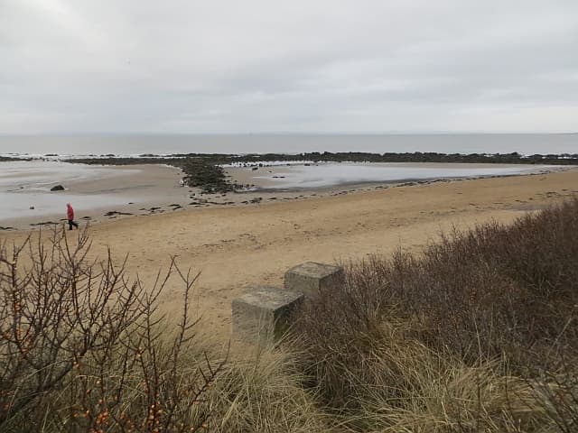 Photo of Longniddry beach