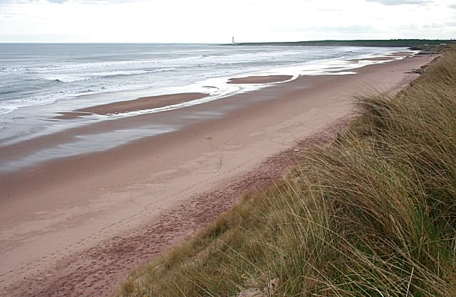 Photo of Montrose beach