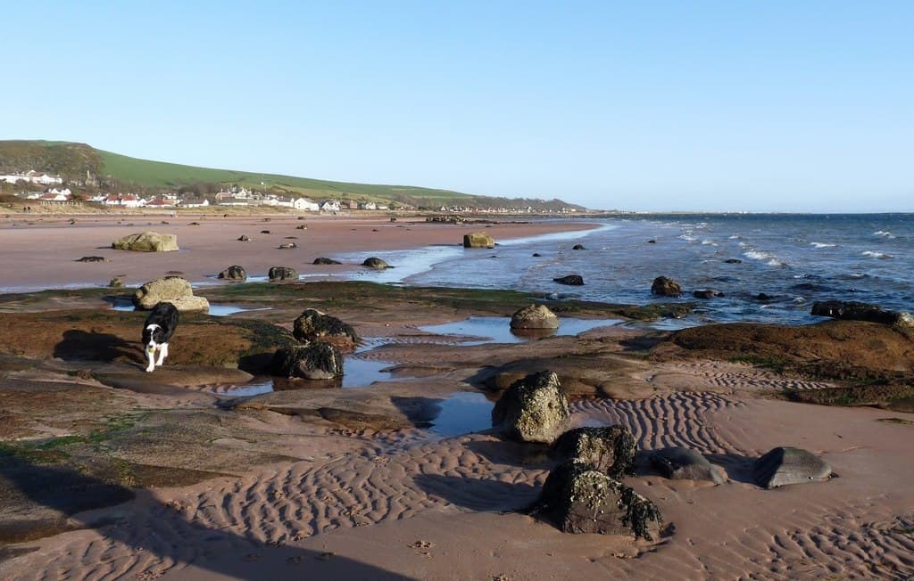 Photo of Seamill beach