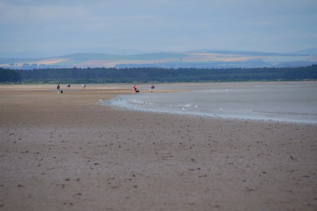 Photo of St Andrews (West Sands) beach