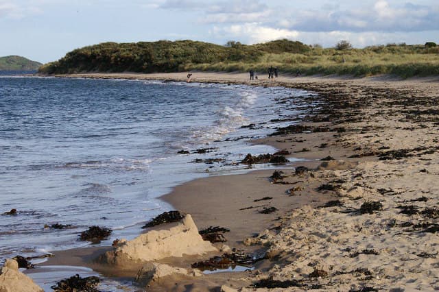 Photo of Yellow Craig beach