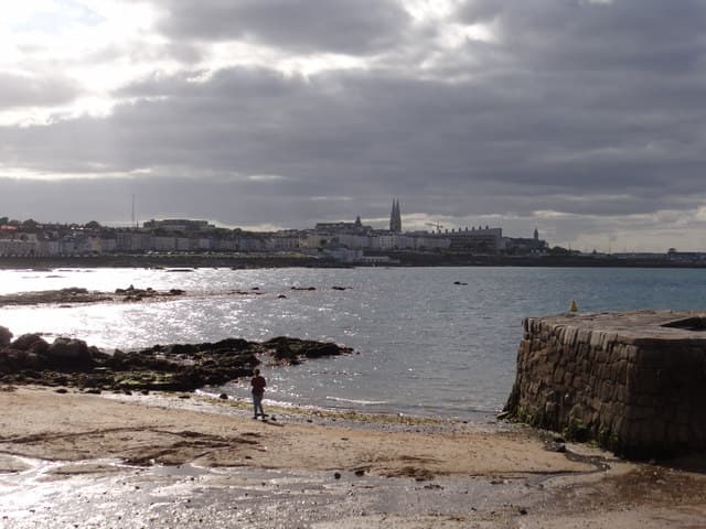 Photo of Sandycove Beach beach