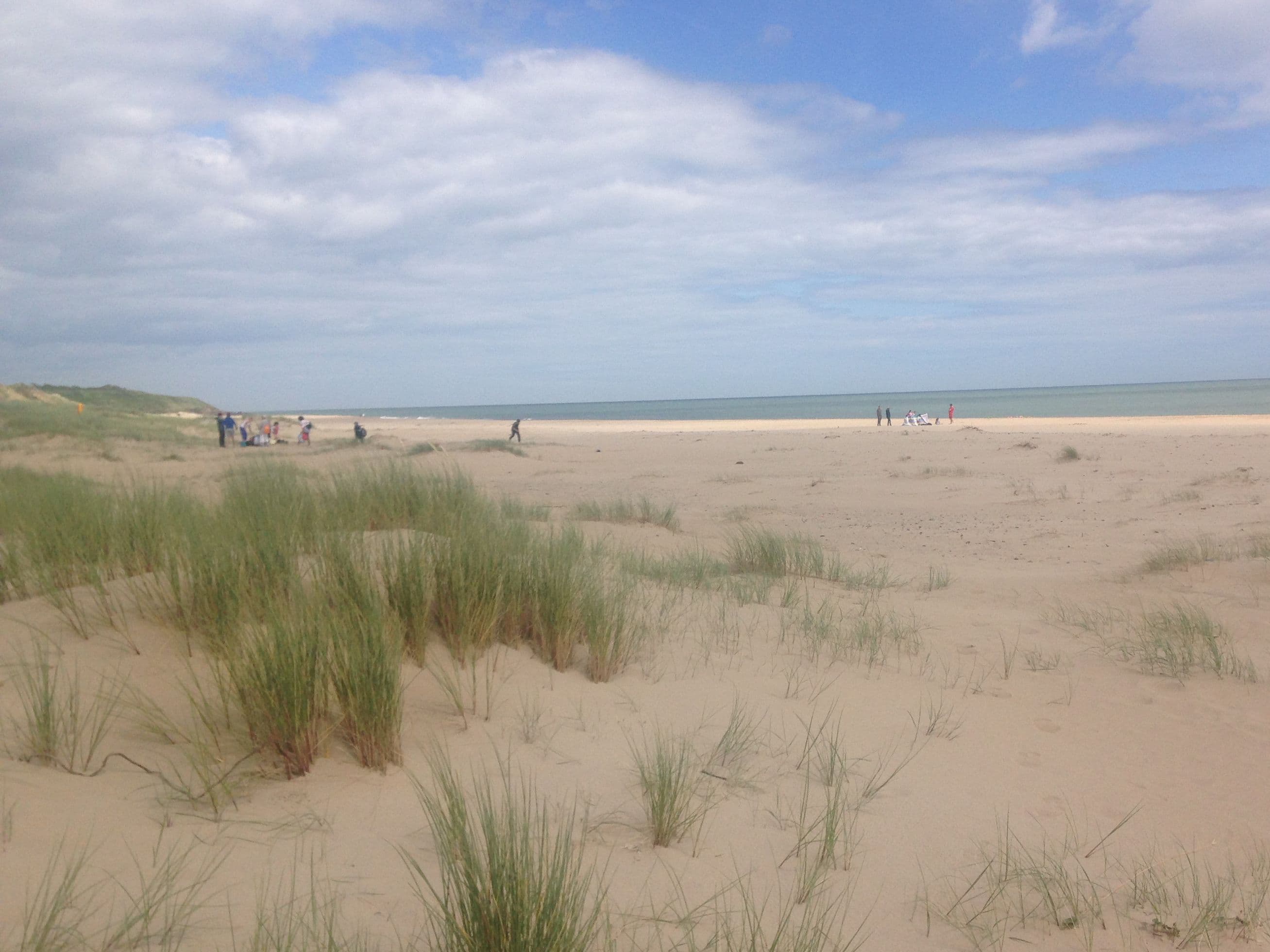 Photo of Old Bawn beach