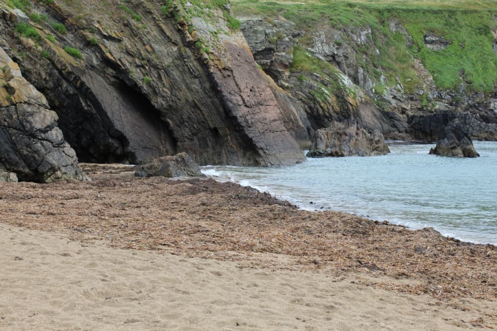 Photo of Goat Island beach