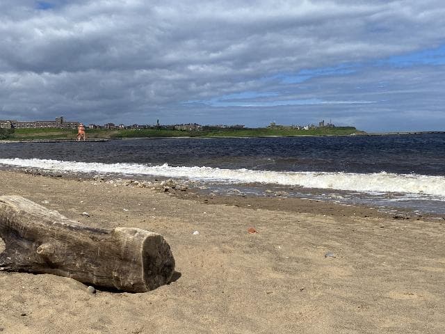 Photo of Littlehaven Beach beach
